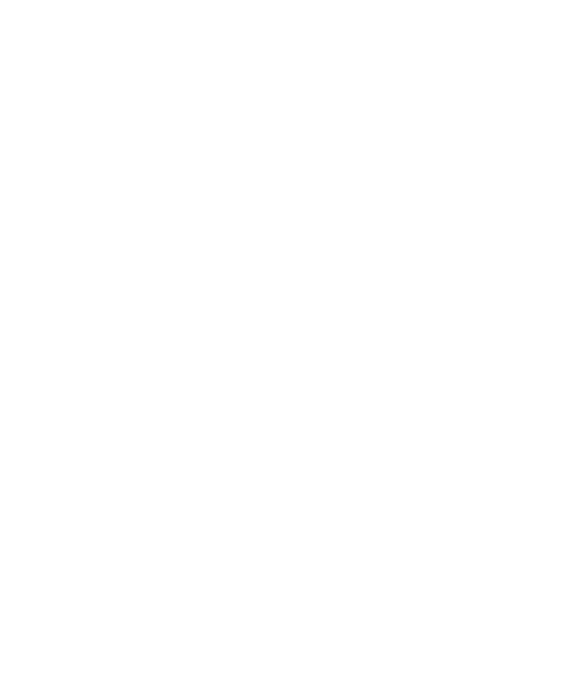 LOGO ISBERGUES NEW blanc 1